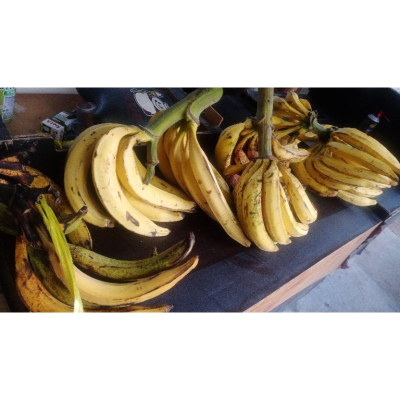 

Pisang Tanduk Sukabumi isi 2 pcs