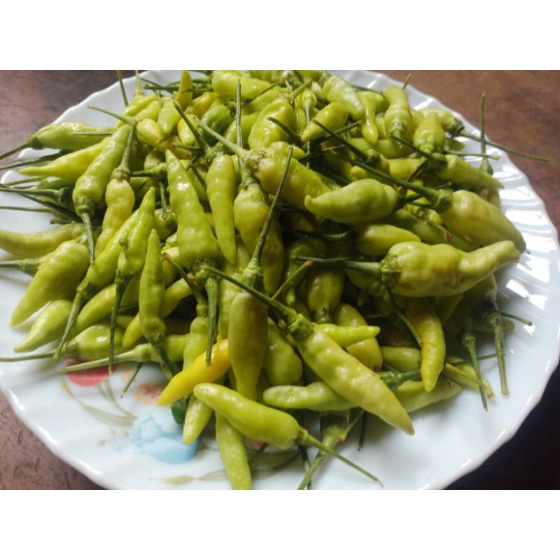 

cabe rawit 1 kg cabe hijau cabe rawit