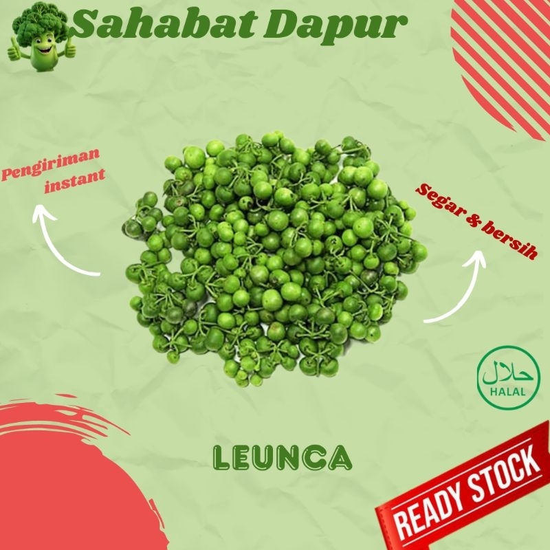 

Buah leunca / lencak - sayur segar - Sahabat Dapur Delivery