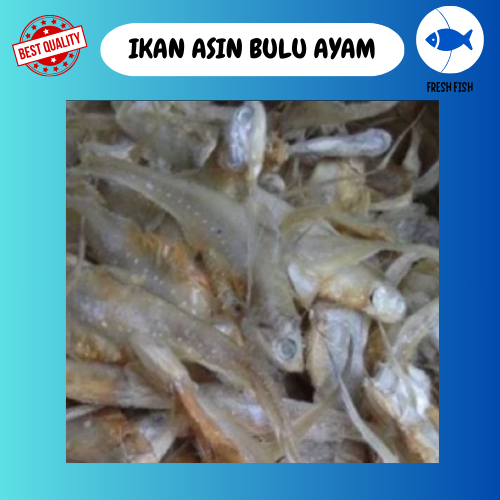 

IKAN ASIN BULU AYAM/IKAN ASIN LIDAH 500 GRAM