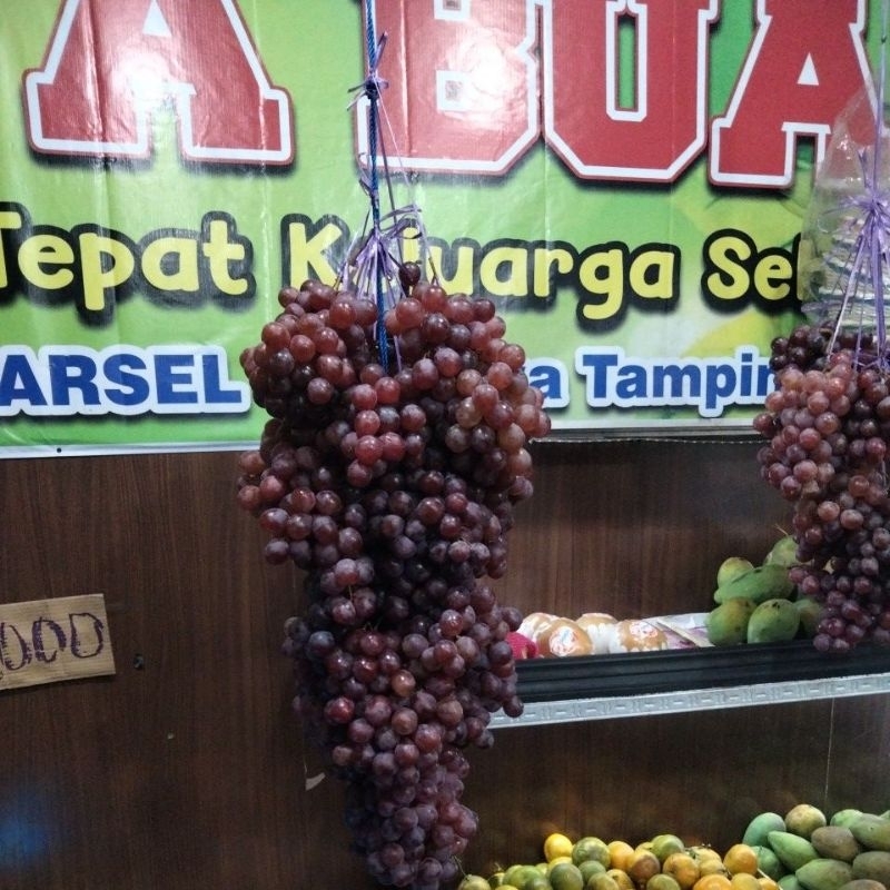 

Obral Buah Anggur manis 250g