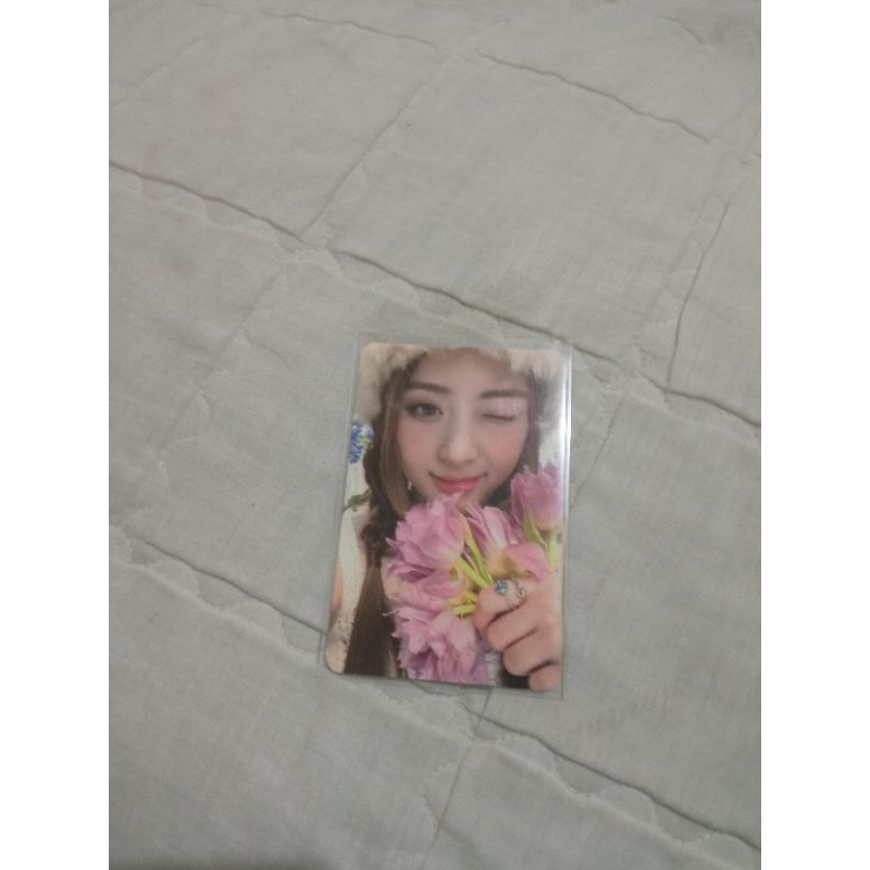 PHOTOCARD YUNJIN TULIP OFFICIAL