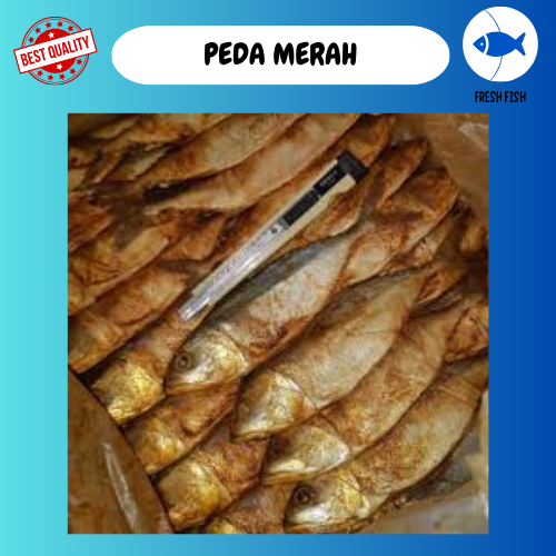 

IKAN ASIN PEDA MERAH/PEDA MERAH 500 GRAM