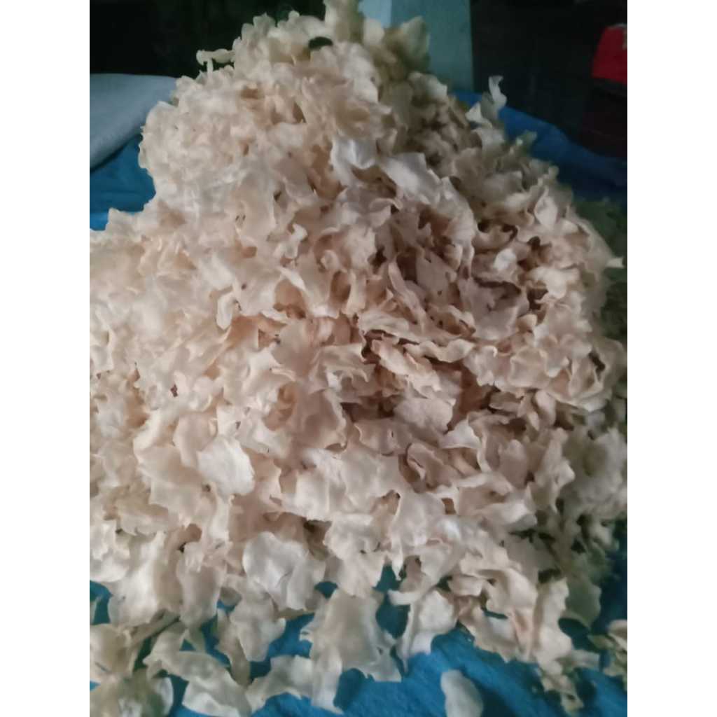 

Krupuk Gadung Mentah Rasa Original isi 1 KG Termurah