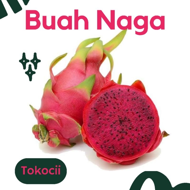 

BUAH NAGA GRADE A TERMURAH
