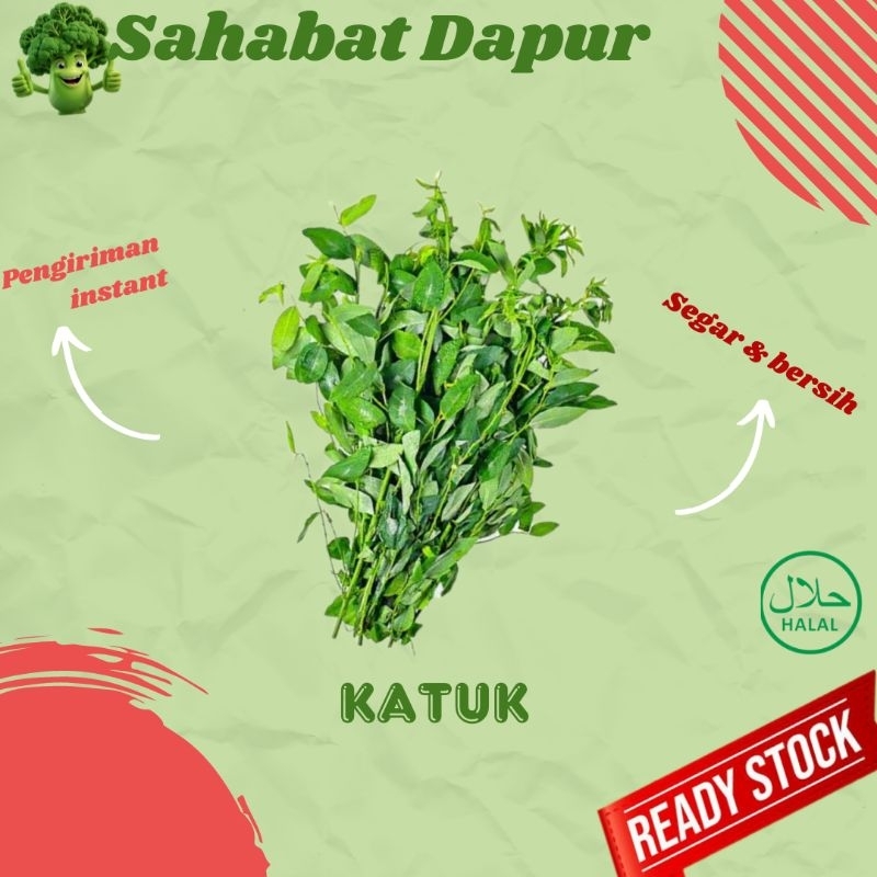 

Sayur Katuk - sayuran segar - Sahabat Dapur Delivery