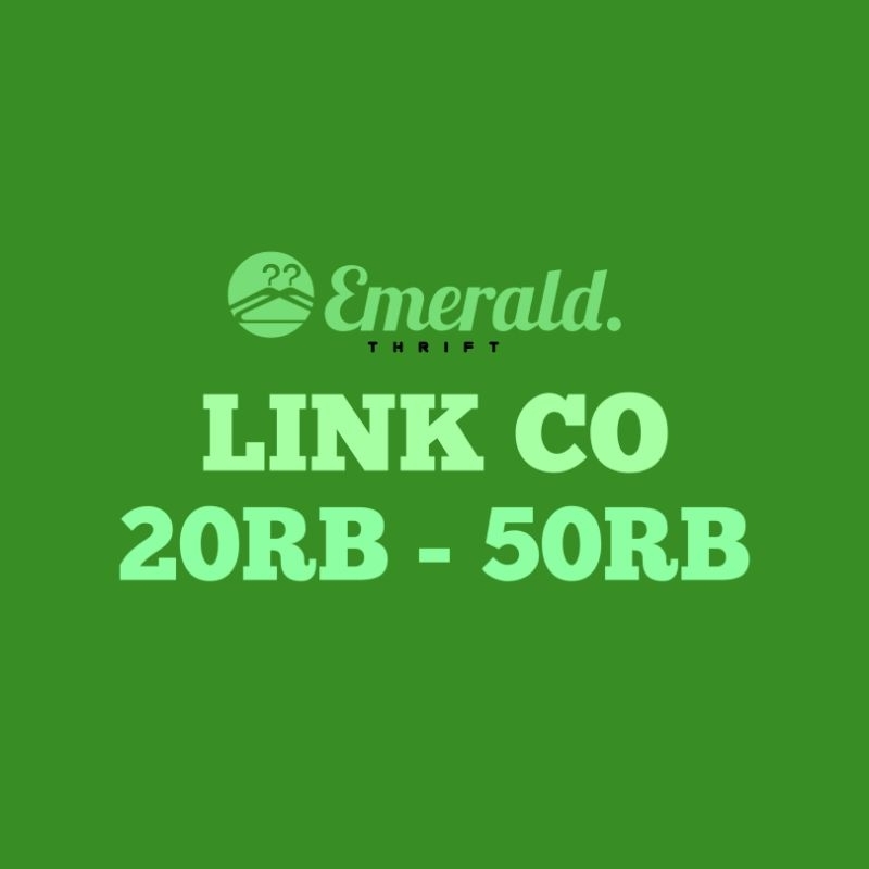 LINK CO HOODIE ART 20RB - 50RB