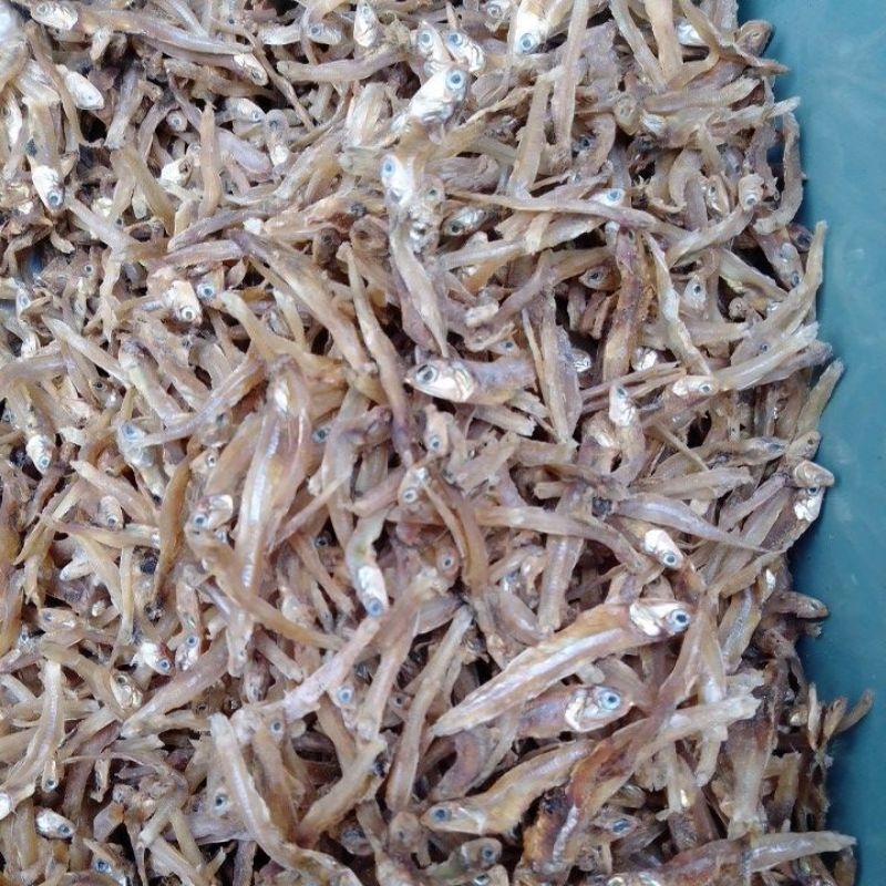 

Teri kering kecil
