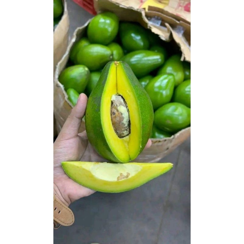 

Buah Alpukat Mentega 1kg Fresh (Mentah) Isi 2 3 4