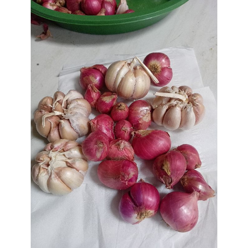 

BAWANG MERPUT 1kg (MERAH PUTIH) MIX 500/500gr ll FREE JARING