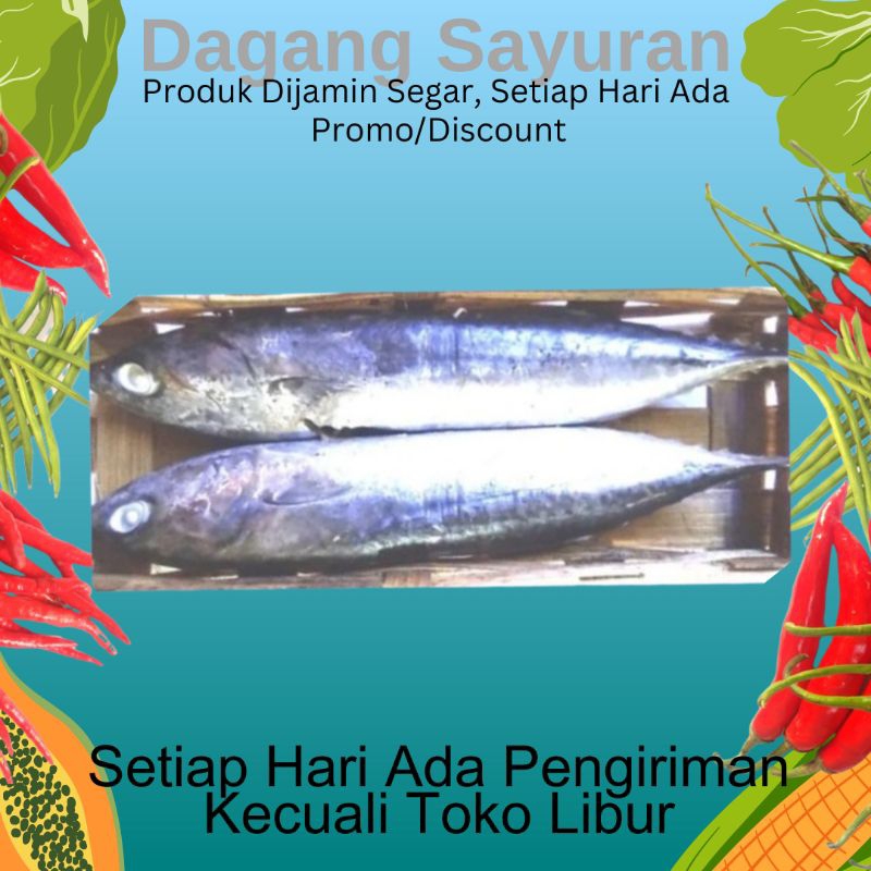 

IKAN CUE/IKAN REBUS/IKAN KERING/IKAN ASIN/JUAL IKAN ASIN/DAGANG IKAN ASIN/PENJUAL IKAN ASIN/PEDAGANG IKAN ASIN KERING/TOKO DAGANG SAYURAN/SERPONG/BSD/BINTARO/CIPUTAT/PAMULANG/PONDOK AREN/TANGERANG SELATAN/TANGSEL