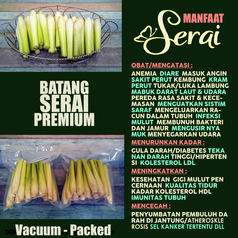 

Vacuum-Packed Batang Serai Sereh Sere Segar Kualitas Premium Rempah Bumbu Masak Herbal Alami