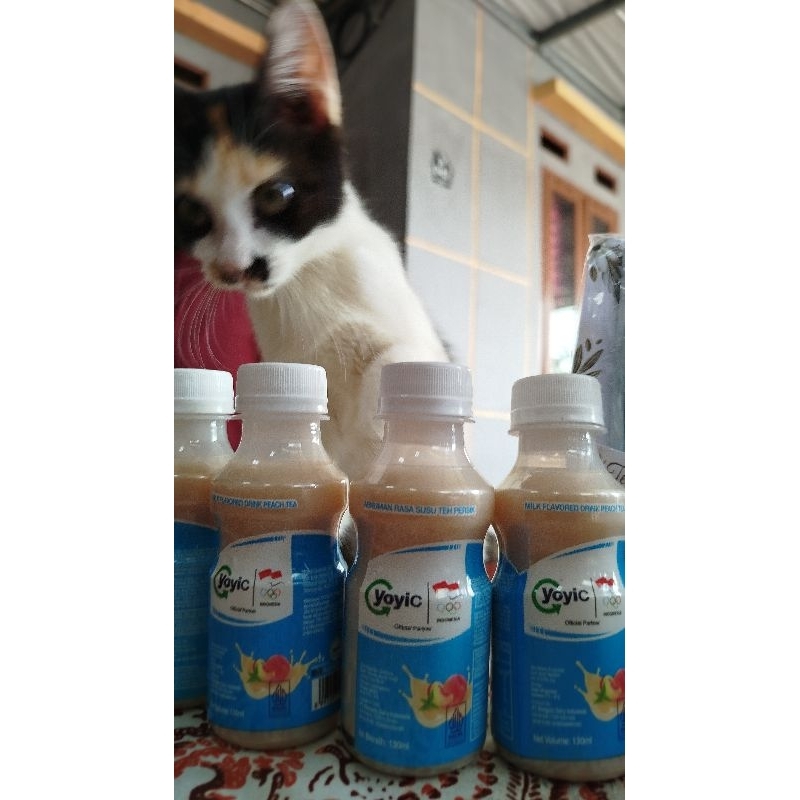 

yoyiC all varian