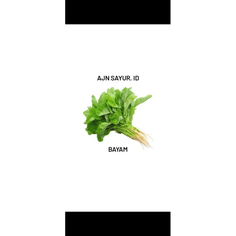 

BAYAM/SAYUR BAYAM