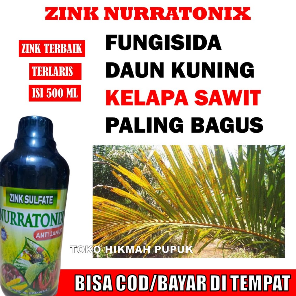 BAYAR DI TEMPAT FUNGISIDA PENYAKIT DAUN KUNING Kelapa Sawit PATEK 500 ML - Obat Daun Kuning Kelapa S