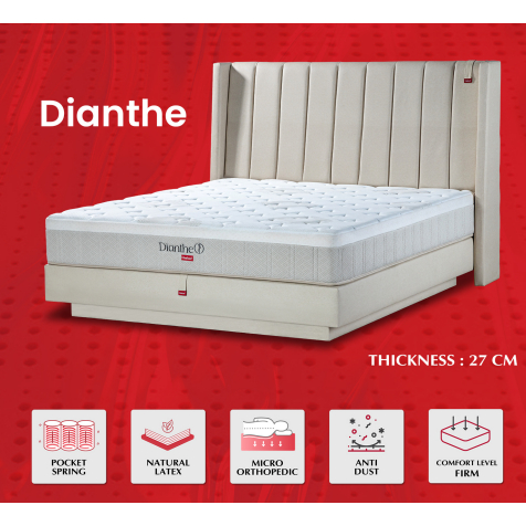 Kasur Tempat Tidur Latex Springbed Orthopedic Helux Dianthe  Feel Keras