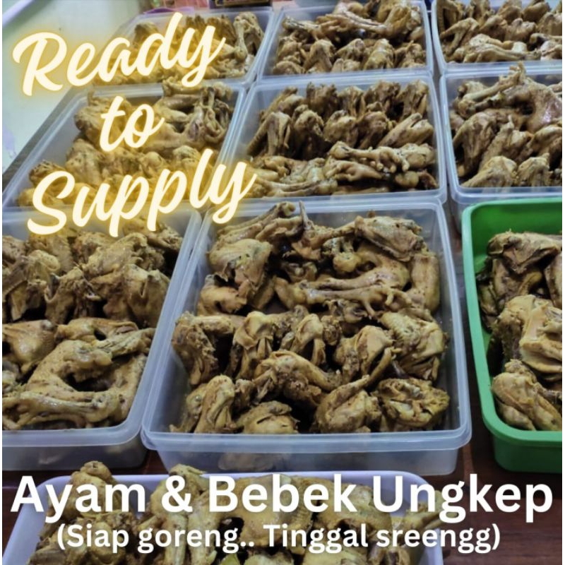 

Bebek Ungkep (berbumbu siap goreng)