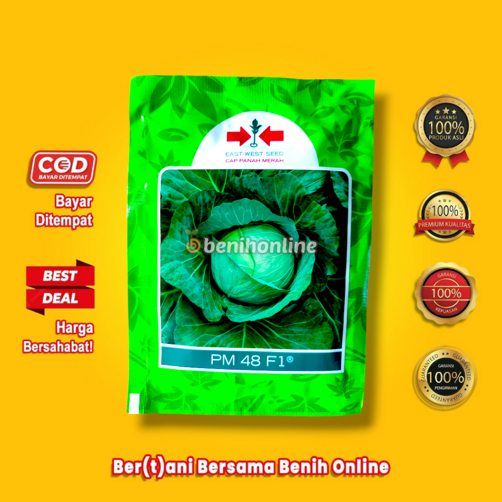 BENIH KUBIS PM 48 F1 15 GRAM Panah Merah