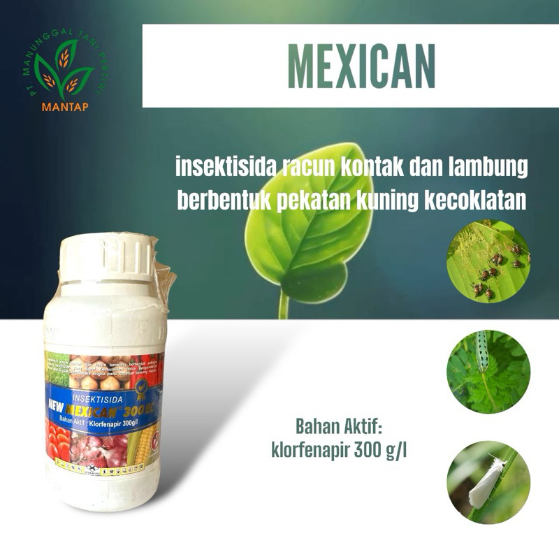 Mexican 300 EC 200 ml (Klorfenapir : 300 g/l)