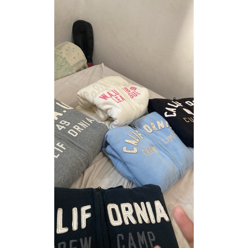 california putih sherpa