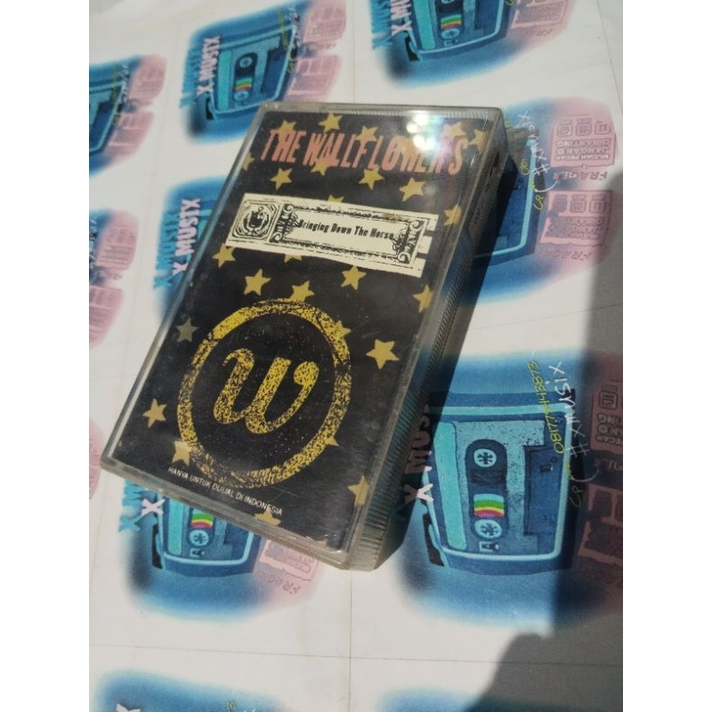 kaset pita wallflowers / bringing down the horse