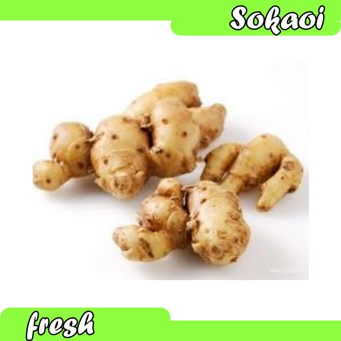 

KENCUR BUMBU DAPUR REMPAH REMPAH AROMATIC GINGER