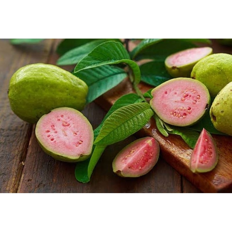 

Jambu Merah