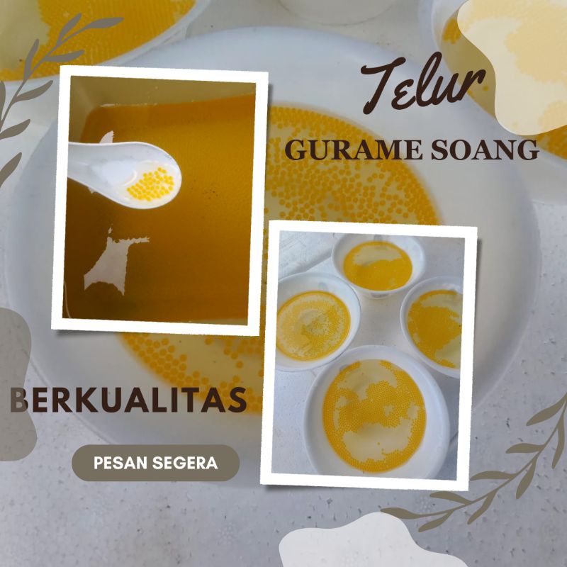 paket telor 500 butir gurame soang