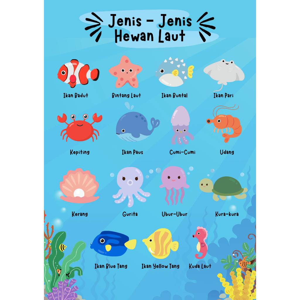 POSTER DINDING JENIS-JENIS HEWAN LAUT