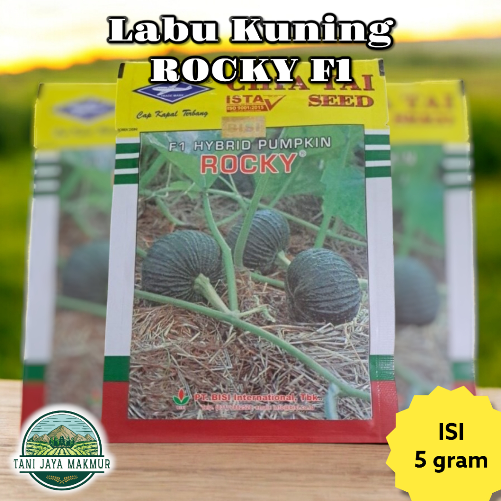 Benih Bibit Waluh Labu kuning ROCKY F1 Hybrid Pumpkin 5 gram