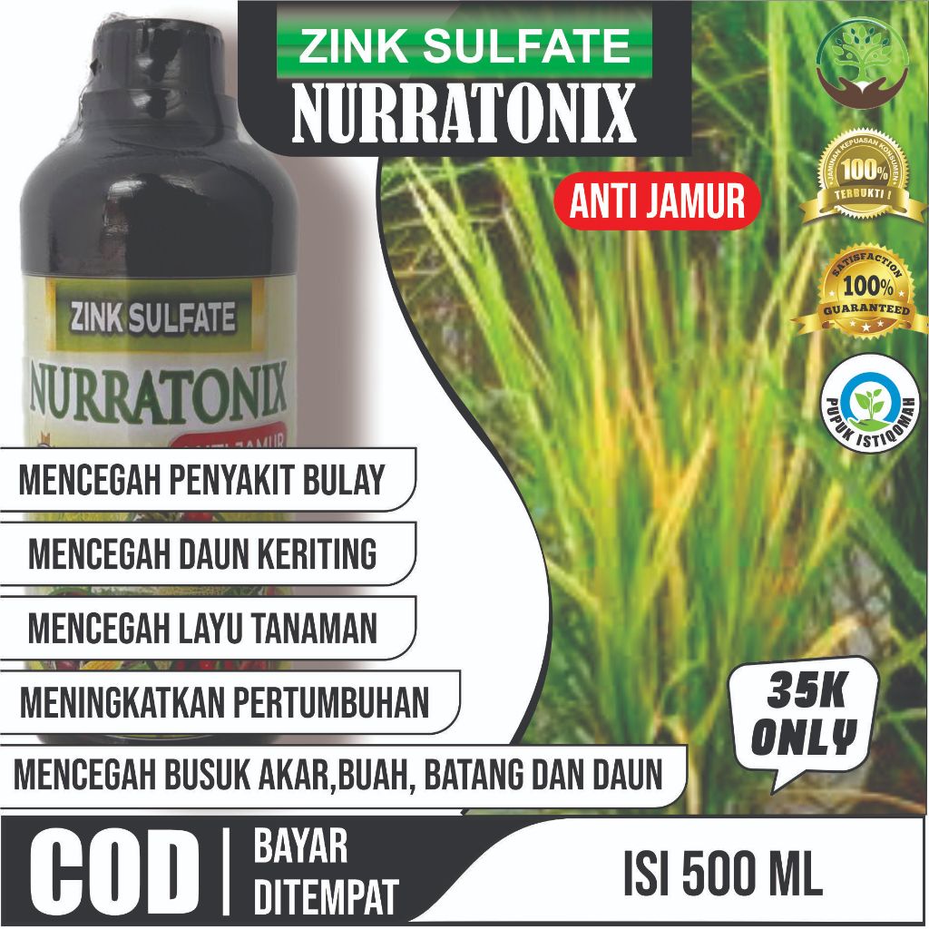 Obat Kuning Gemini Pada Padi - ZING NURRATONIX Fungisida HAYATI - Obat Hama Daun Layu, Daun Kering, 