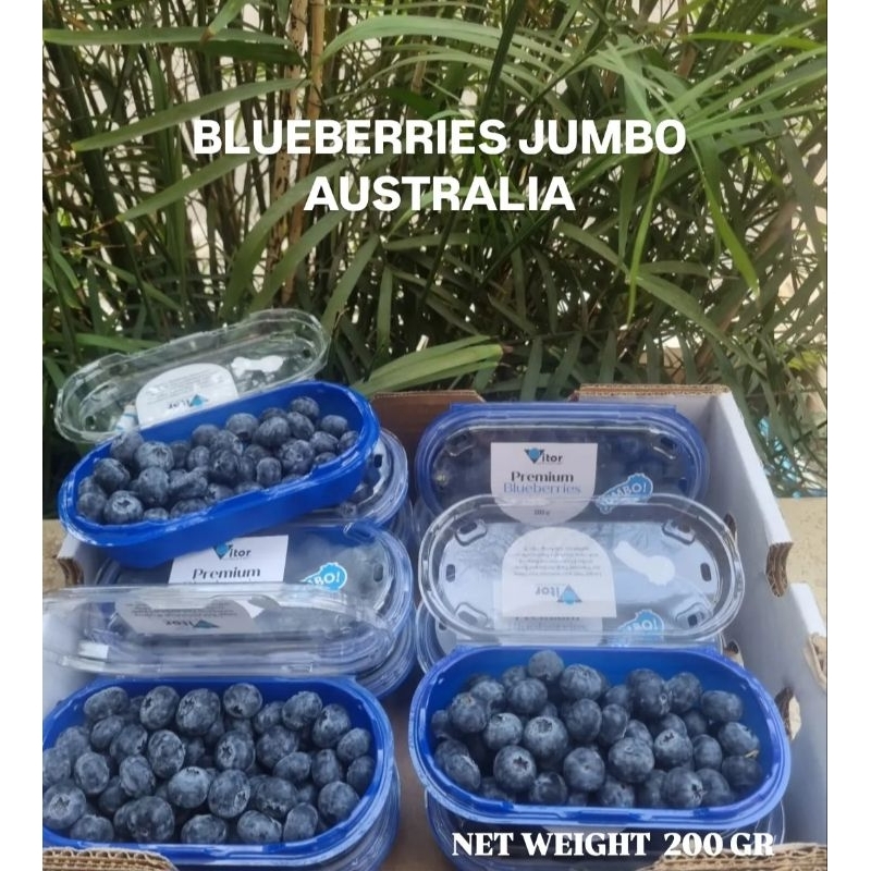 

BLUEBERRIES JUMBO AUSTRALIA 200 GR