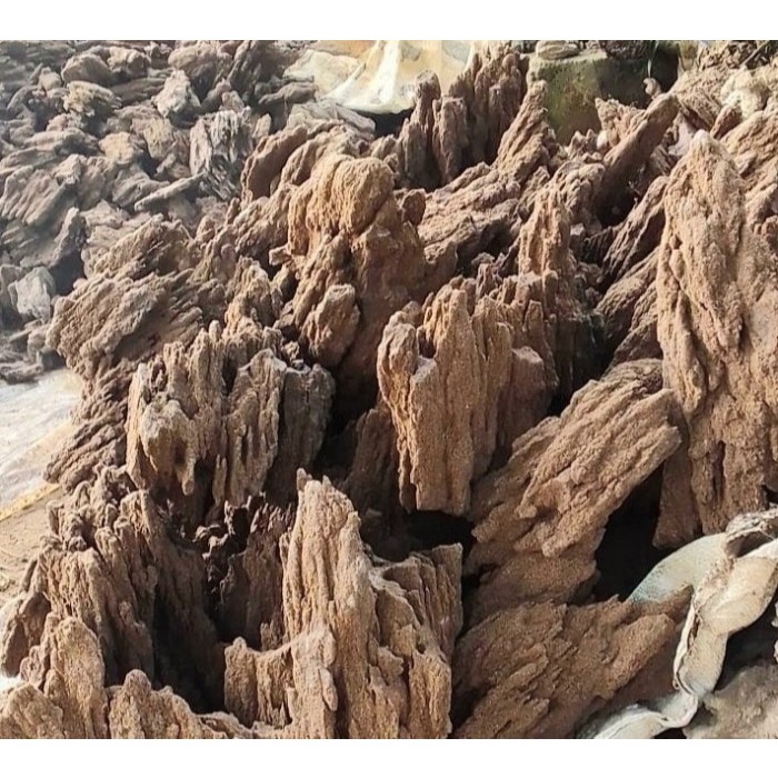 batu  sand stone aquascape batu pasir aquascape aquascape aquarium 1 kg