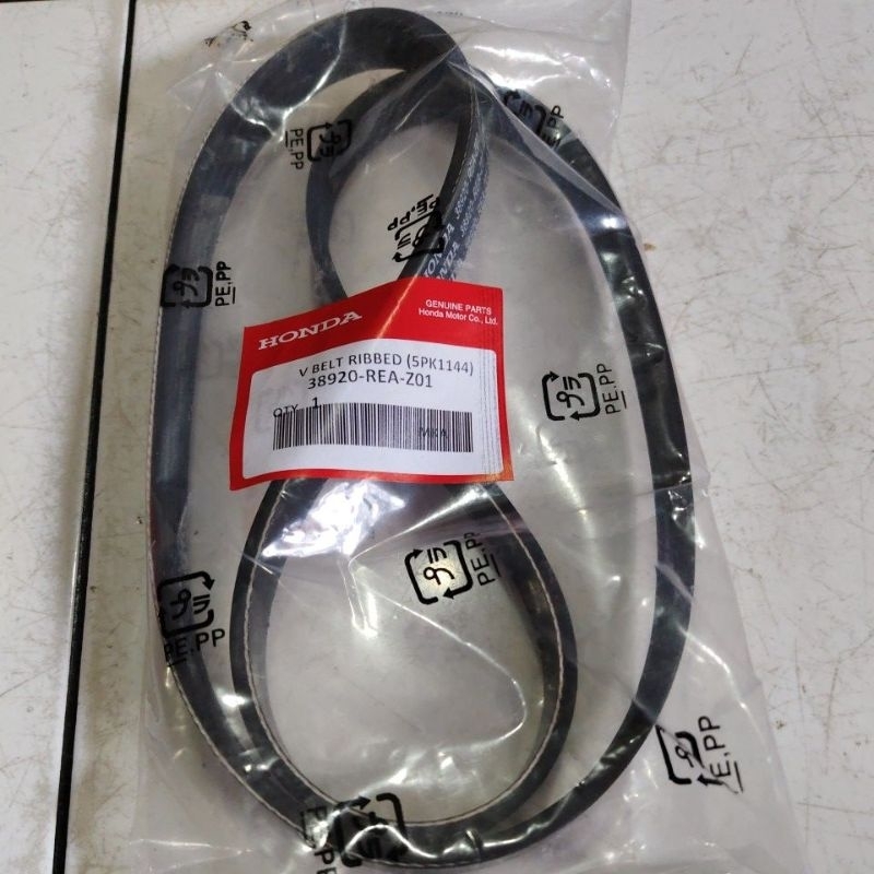 Fan belt 5pk1144 jazz RS