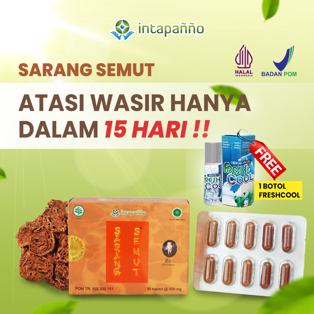 INTAPANNO Sarang Semut Obat Herbal Kanker Tumor Wasir Prostat 30 Kapsul Jamu Tradisional Halal BPOM