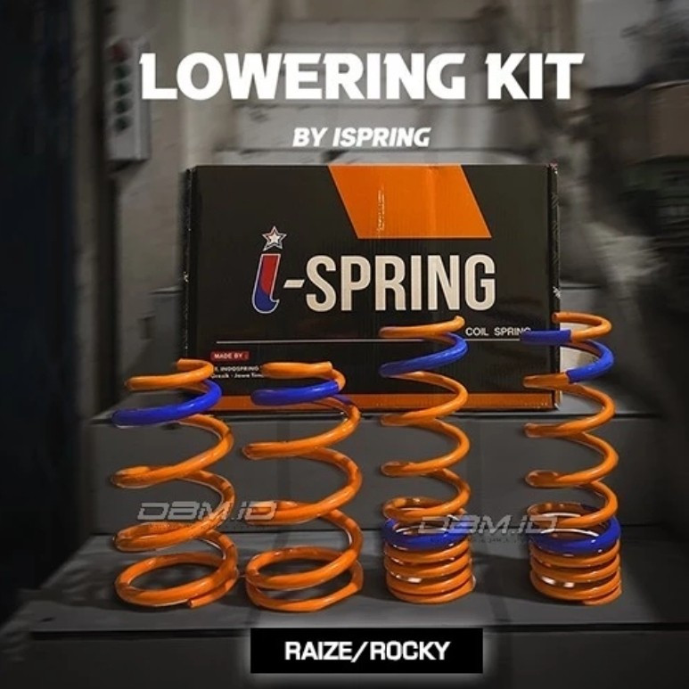 ISPRING I-SPRING PER LOWERING COIL SPRING RAIZE / ROCKY
