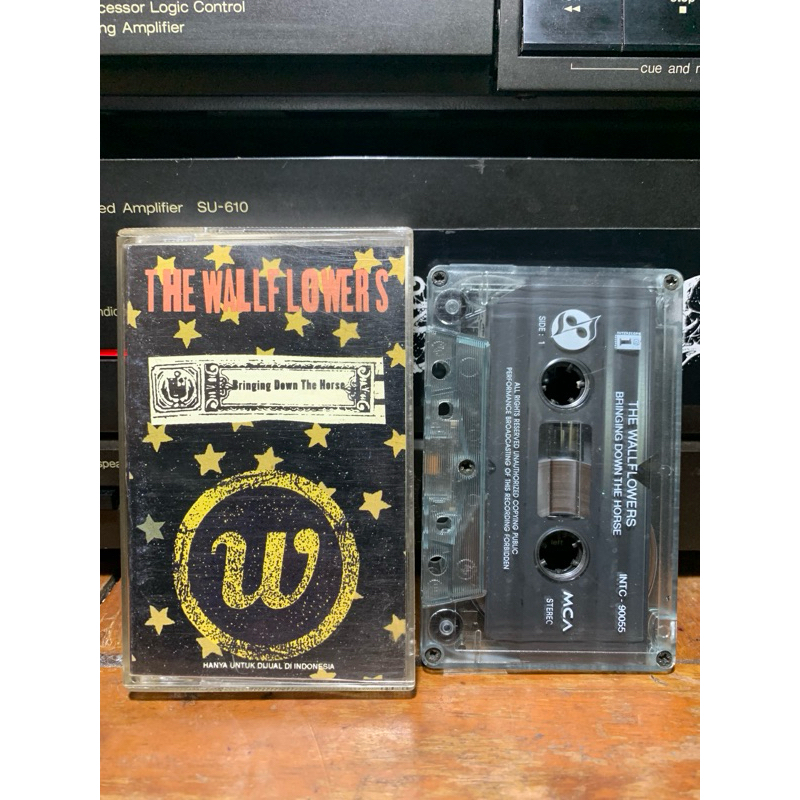 kaset / cassette The Wallflowers - Bringing down the horse