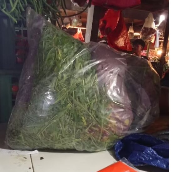 

daun aragula organik berat 250grm