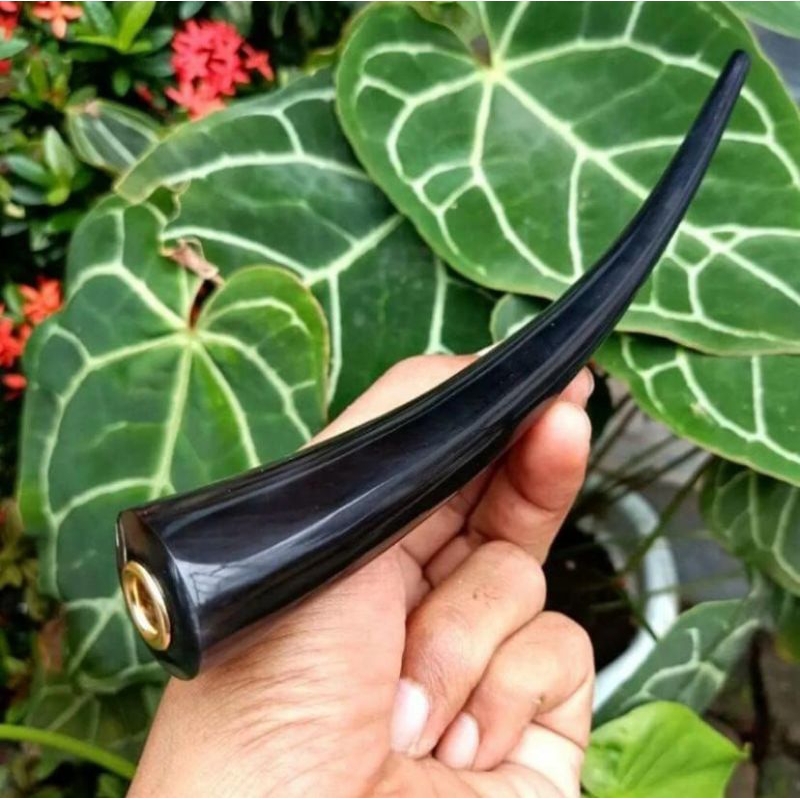 Once pipa tanduk impor panjang 11-12 cm harga murah warna glowing full hitam