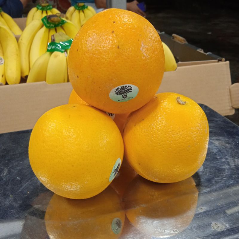 

Jeruk Sunkisst Valencia / Kg