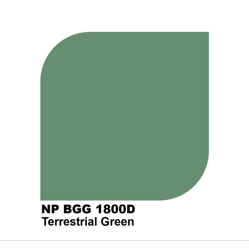 Elastex Nippon paint NP BGG 1800D 4kg