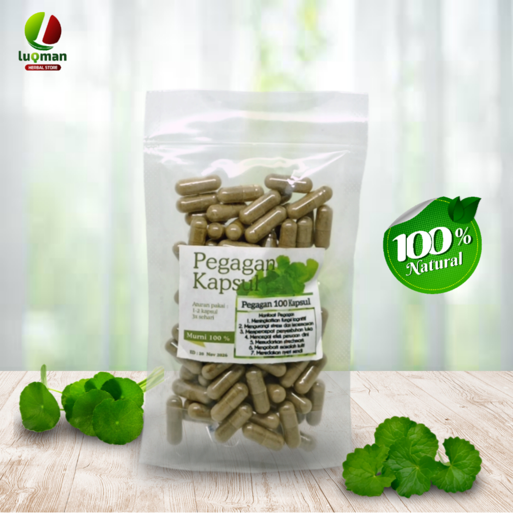 Daun Pegagan Asli 100 Kapsul