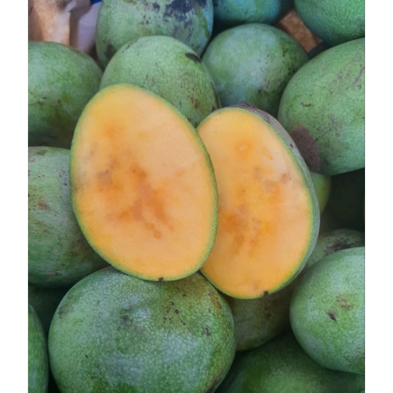 

BUAH MANGGA MANALAGI