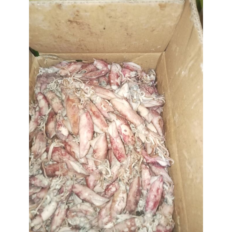 

ikan asin cumi sotong