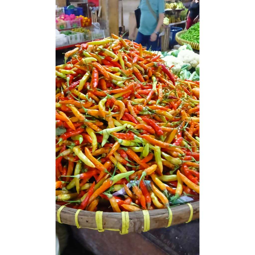 

cabai rawit merah orange