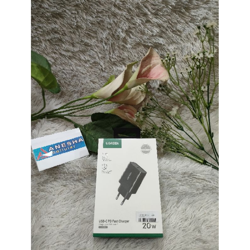 charger ugreen type c