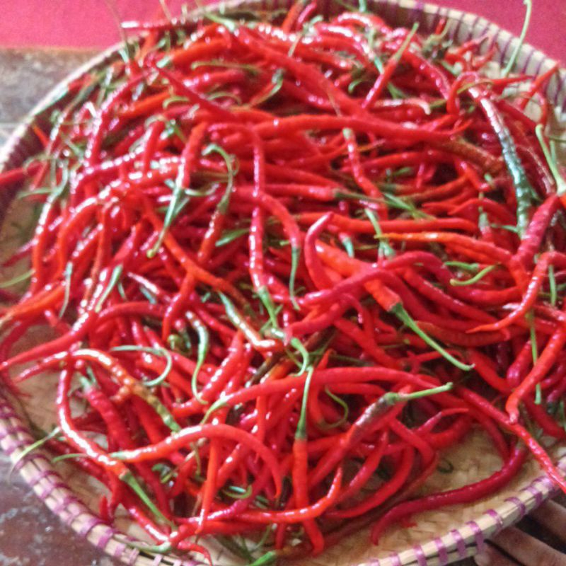 

Cabai Merah Segar