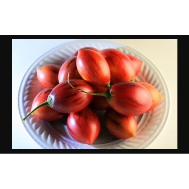 

Terong Belanda Berastagi 500gr