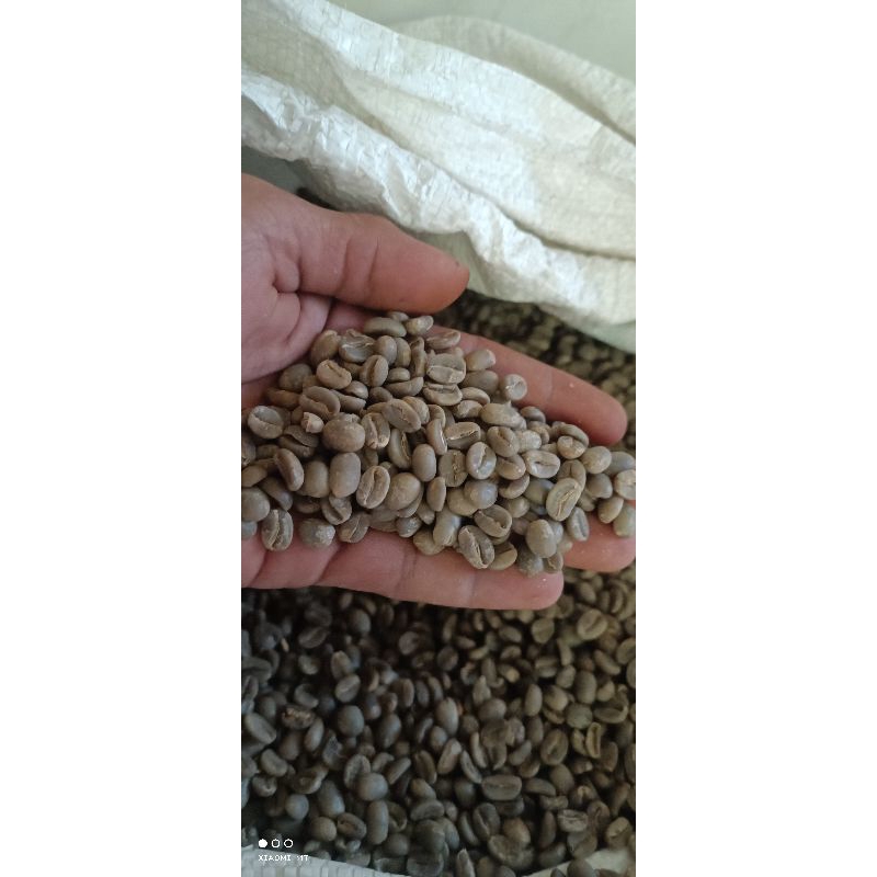 

greenbean kopi arabika prigen semiwash grade 1 (kemasan 1kg)