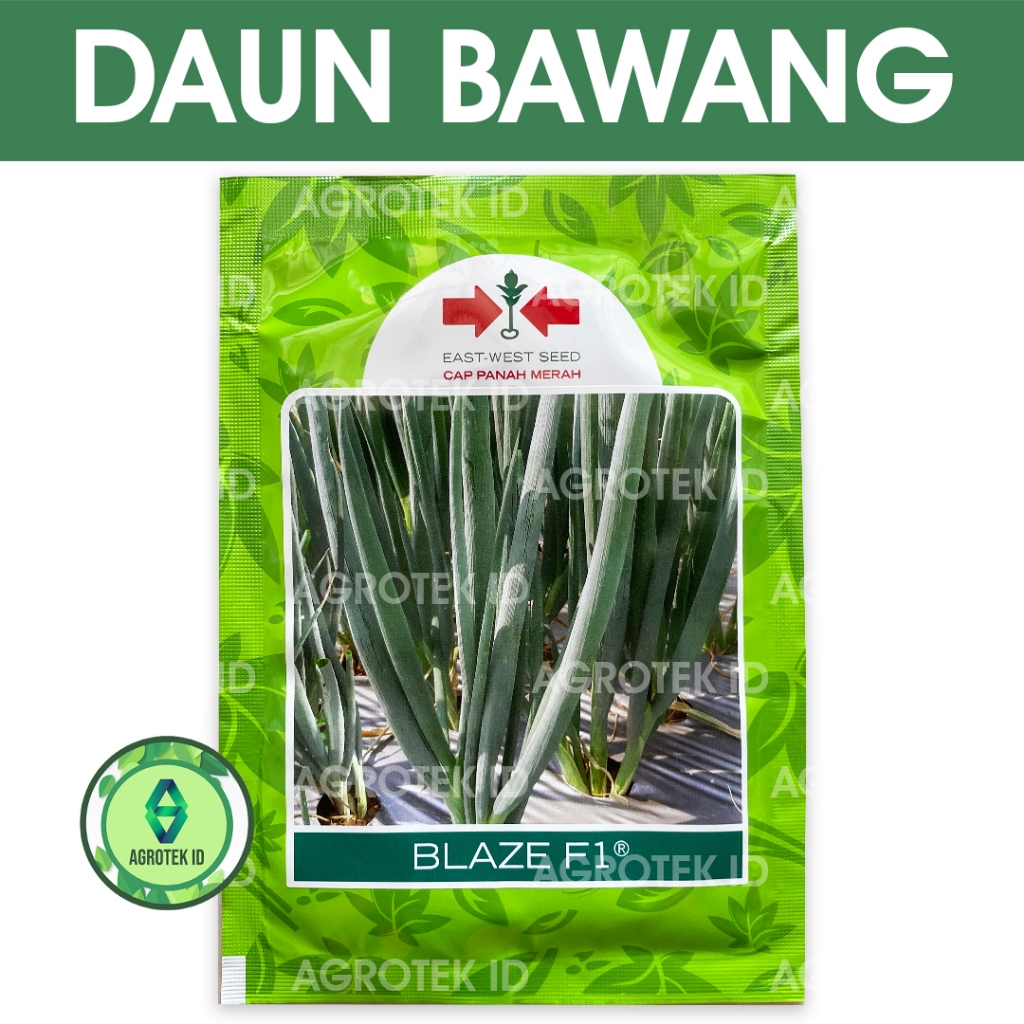 Benih Daun Bawang BLAZE F1 10 gram Cap Panah Merah